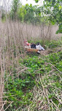 Історія закарпатки шокувала всю країну – 01