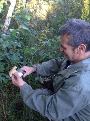 На Закарпатті киянин назбирав 114 кілограмів білих грибів – 13