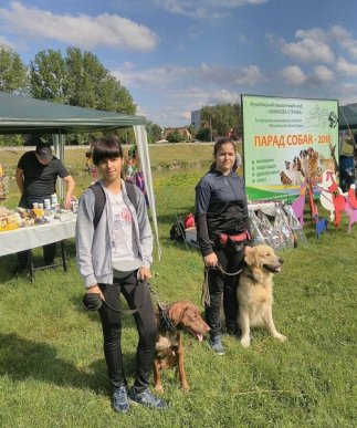 У Мукачеві відбувся "Парад собак" – 10