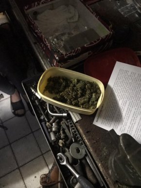 На Берегівщині поліцейські під час обшуку вилучили наркотики – 02