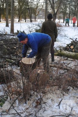 У Комсомольському парку Мукачева вирубують дерева (ФОТО) – 07
