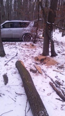 Лісівники Ужгородщини затримали крадіїв «шахтинських дубів» – 03