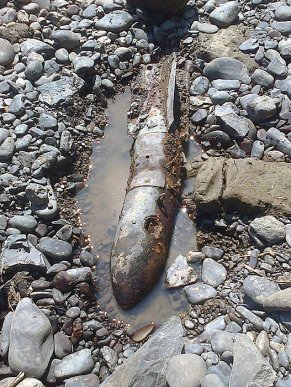 У Тячівському районі на березі річки виявили авіабомбу часів Другої світової війни – 03