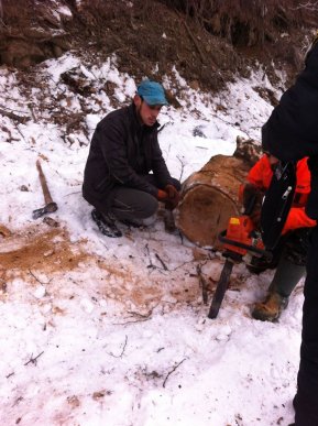 Муніципальна поліція Мукачева спіймала «на гарячому» осіб, які вирубували дерева – 01 Муніципальна поліція Мукачева спіймала «на гарячому» осіб, які вирубували дерева – 01