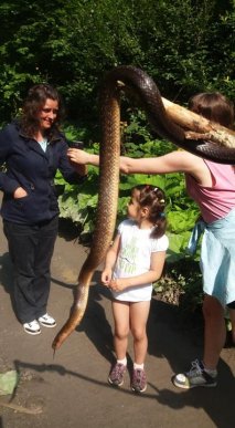 По дорозі в гори люди натрапили на 2-метрову змію – 01