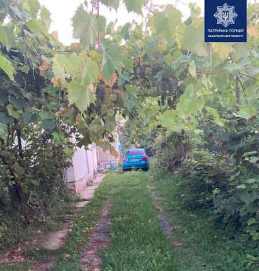 Рано-вранці жінка побачила, що у Мукачеві скоюють крадіжку – 02 Рано-вранці жінка побачила, що у Мукачеві скоюють крадіжку – 02