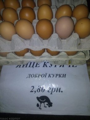 Новорічне застілля: у скільки закарпатцям обійдеться святковий стіл – 04