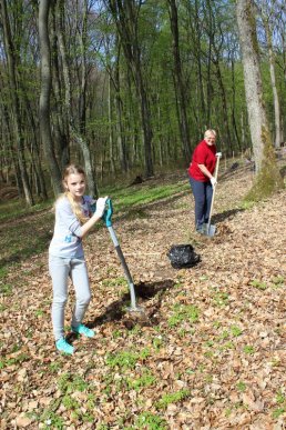 У Шевченківській алеї, що на Ужгородщині, відомі закарпатці висадили нові дерева – 06
