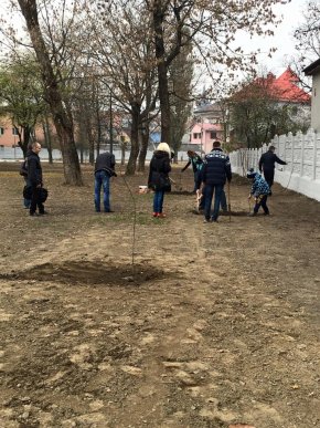 У парку "Дружба" в Хусті, який планують відкрити весною 2016 року, висадили дерева – 06
