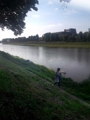 В обласному центрі біля річки Уж труять гризунів – 01