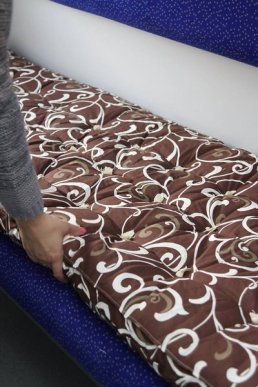 У мережі показали, як виглядає новий вагон потяга «Ужгород – Київ» – 05