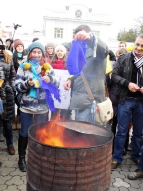 В Ужгороді мітингувальники демонстративно спалили символіку Партії регіонів (ФОТО) – 04