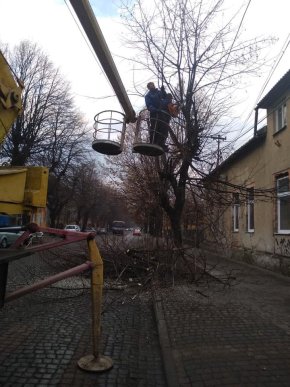У центральній частині Мукачева обрізають дерева – 01