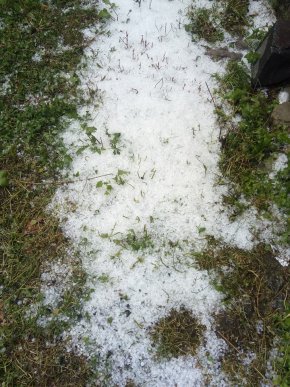 На Ужгородщині випав град, – соцмережі – 03