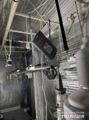 У Виноградові чоловік вирощував нарковмісні рослини – 04