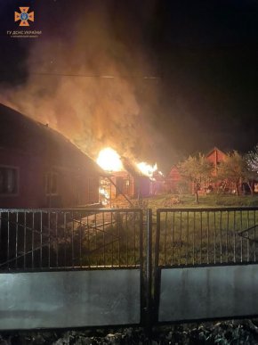 Рятувальники показали фото наслідків нічної пожежі, яка вирувала в селі – 03