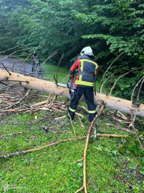 Рятувальники показали наслідки негоди в області – 01
