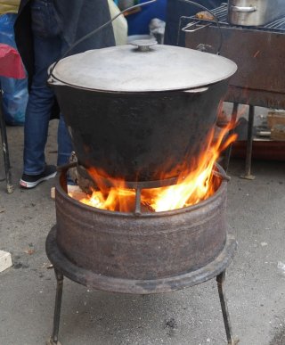 В Ужгороді відкрили фестиваль медовухи – 20