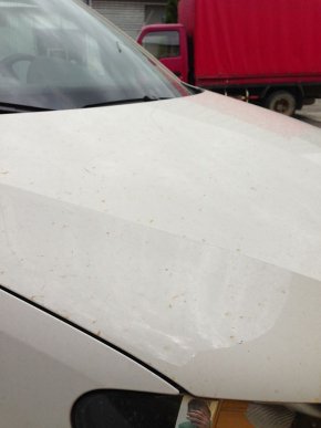 В Мукачеві також випав рудий дощ (ФОТОФАКТ) – 02