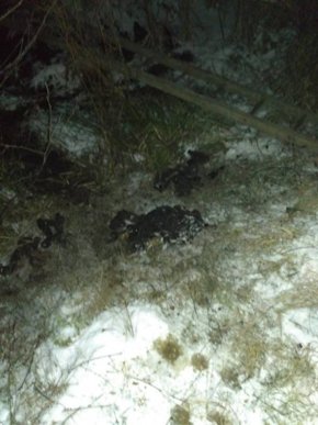 Іршавські поліцейські викрили чоловіка, який обкрадав цегельний завод – 02