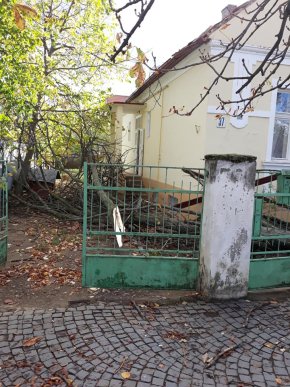 Негода в Ужгороді наробила біди – 07