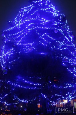 У Мукачеві засяяла головна новорічна ялинка міста – 14