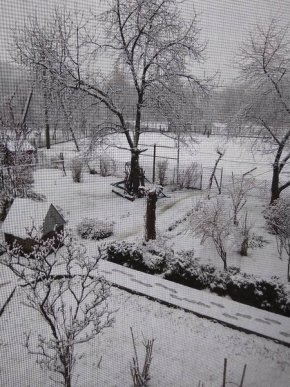 Кілька закарпатських сіл замело снігом – 03 Кілька закарпатських сіл замело снігом – 03