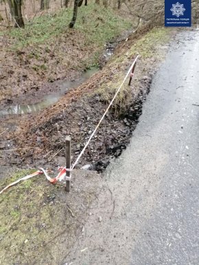 На об‘їзній Ужгорода вітер повалив дерево. Рух був ускладнений – 03 На об‘їзній Ужгорода вітер повалив дерево. Рух був ускладнений – 03