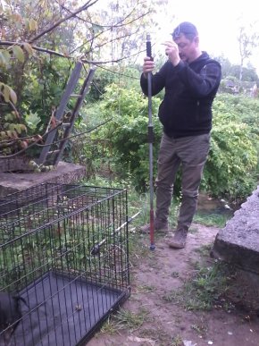 У Мукачеві нелюд жорстоко вчинив із собакою – 04