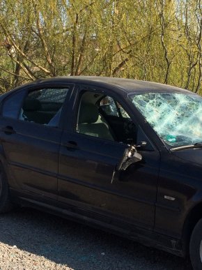 Стрілянина на Мукачівщині: прізвища учасників конфлікту та фото з місця події – 05