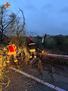 Повалені дерева, зірвані дахи, знеструмлені села: що вночі накоїла негода на Закарпатті – 05