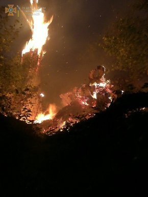 Велика пожежа на Закарпатті: рятувальники та місцеве населення всю ніч гасили вогонь – 01