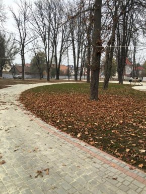 У парку "Дружба" в Хусті, який планують відкрити весною 2016 року, висадили дерева – 08