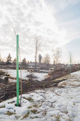 Мукачівці шоковані вирубкою парку "Перемоги" у місті (ФОТО) – 01