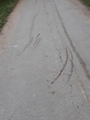 П’яний чоловік прив’язав коня до машини і тягнув тварину по асфальту – 09