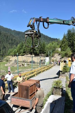 У реабілітаційний центр бурих ведмедів привезли двох нових мешканців – 06 У реабілітаційний центр бурих ведмедів привезли двох нових мешканців – 06