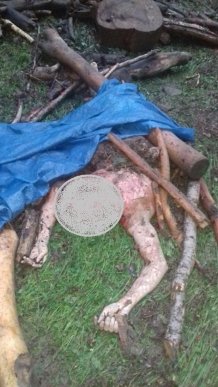 Оприлюднено фото з місця моторошної аварії, в якій загинуло 5 людей – 05