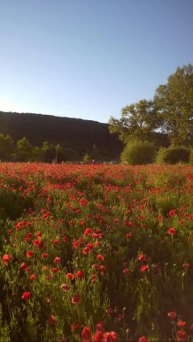 Біля Ужгорода є місце, на якому всі хочуть сфотографуватися – 02