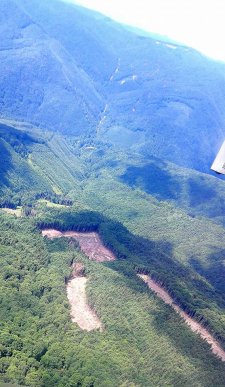 Генпрокурор Юрій Луценко показав масштаби вирубки лісів у Карпатах – 05