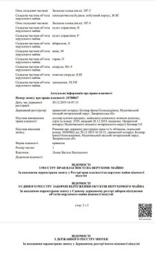 22-річний хлопець придбав ще один майновий комплекс у Мукачеві: продовження історії – 01