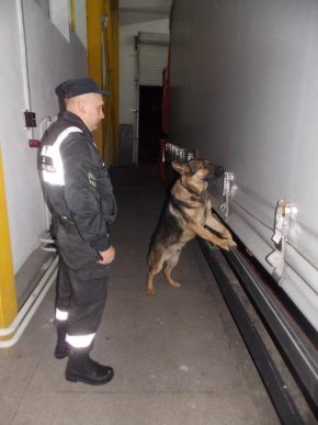 Прикордонники затримали вантажівку, тайник якої був забитий контрабандними сигаретами – 07