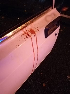 В Ужгороді сталася моторошна аварія: авто врізалось в дерево – 07