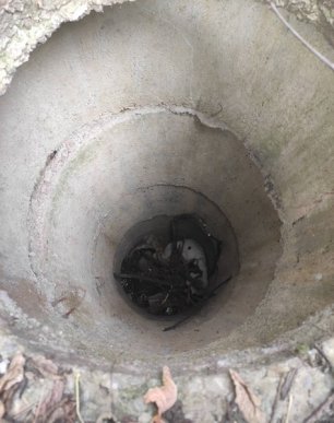 В Ужгороді врятували собаку – 04