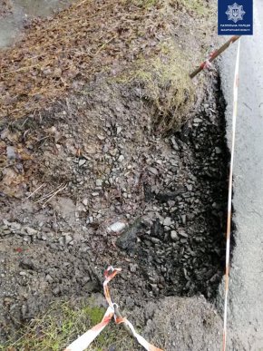 На об‘їзній Ужгорода вітер повалив дерево. Рух був ускладнений – 01 На об‘їзній Ужгорода вітер повалив дерево. Рух був ускладнений – 01