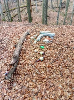 У мережі показали шафранові поляни, які встелені сміттям – 06