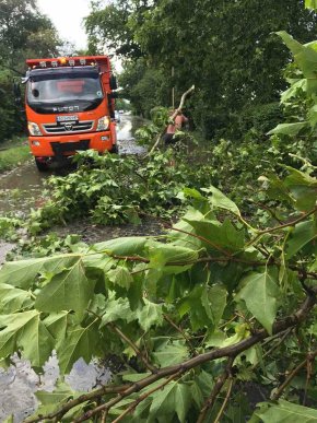 Град, поламані дерева і затоплені вулиці: Ужгород накрила негода – 05