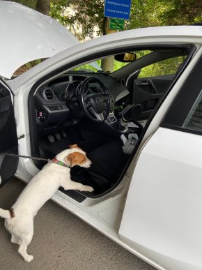 Сховав у авто та сумці з-під ноутбука: що виявили у громадянина Угорщини на одному з КПП – 06