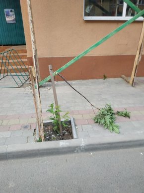 У Хусті невідомі вчинили акт вандалізму – 05