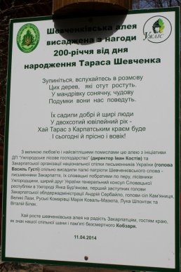 У Шевченківській алеї, що на Ужгородщині, відомі закарпатці висадили нові дерева – 15