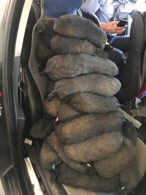 Закарпатські митники вилучили в поляка велику кількість сонячного каміння – 03